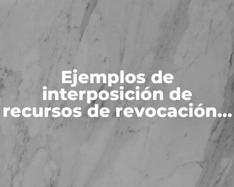 Ejemplos de interposición de recursos de revocación y de apelación