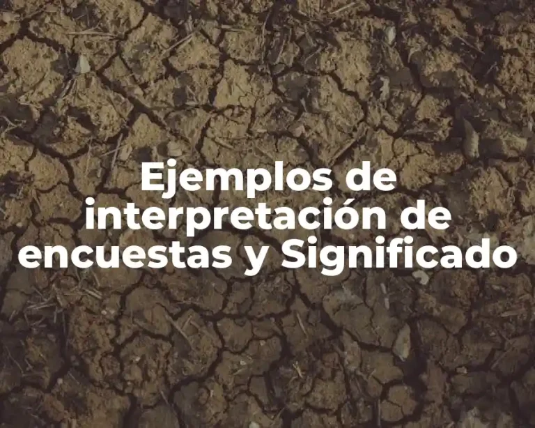 Ejemplos de interpretación de encuestas y Significado