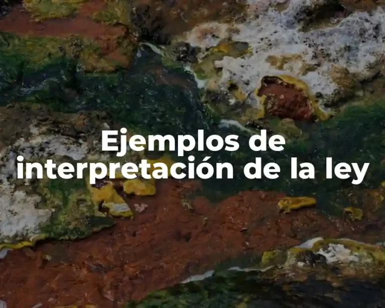 Ejemplos de interpretación de la ley