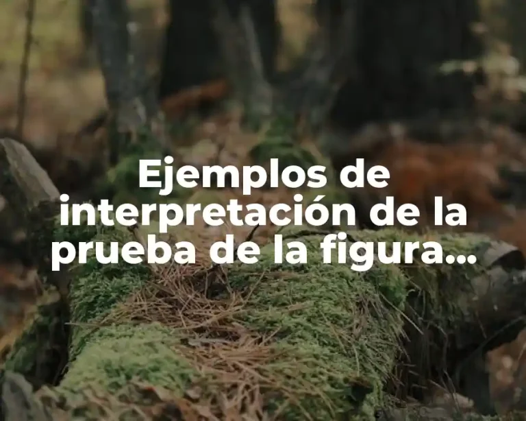 Ejemplos de interpretación de la prueba de la figura humana