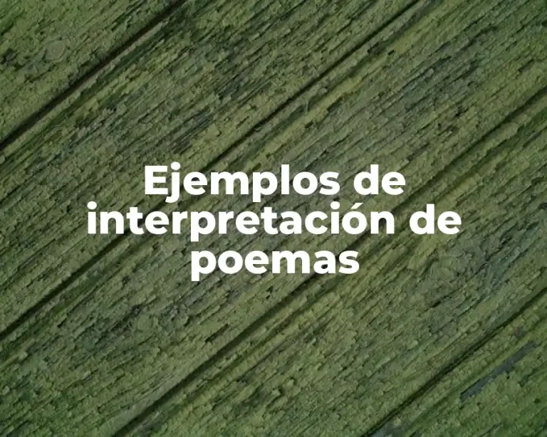 Ejemplos de interpretación de poemas