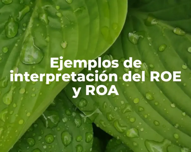 Ejemplos de interpretación del ROE y ROA