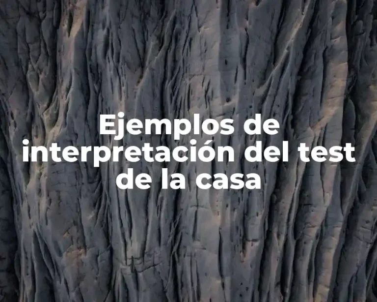 Ejemplos de interpretación del test de la casa