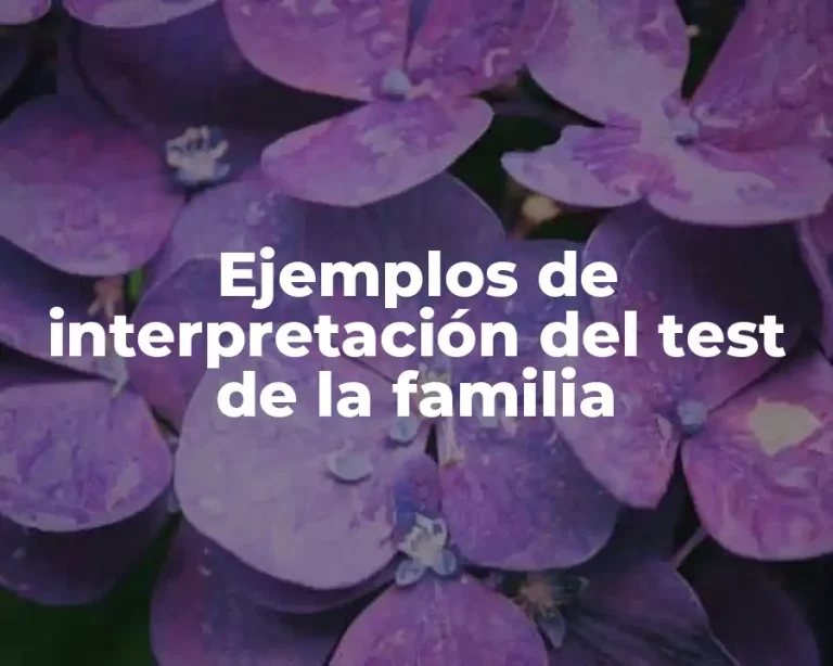Ejemplos de interpretación del test de la familia