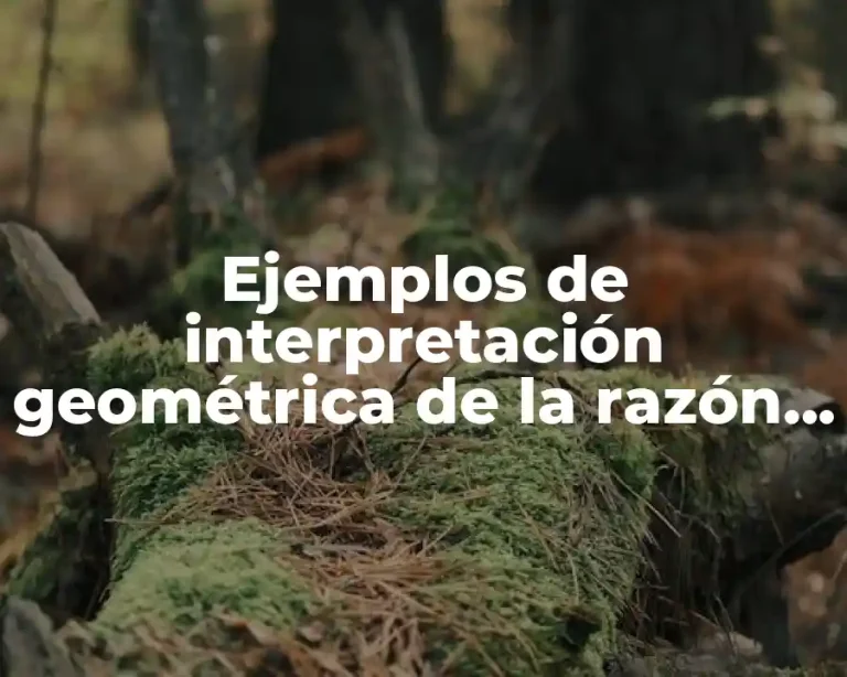 Ejemplos de interpretación geométrica de la razón de cambio