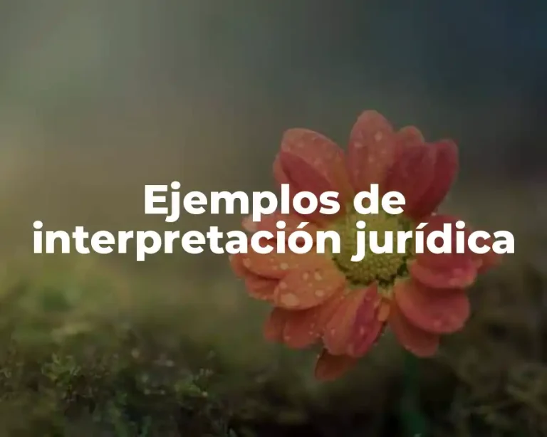 Ejemplos de interpretación jurídica