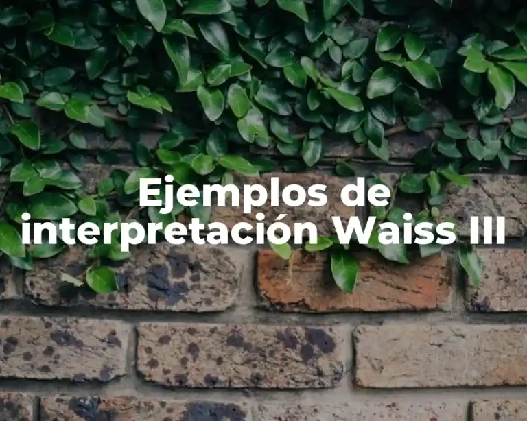 Ejemplos de interpretación Waiss III