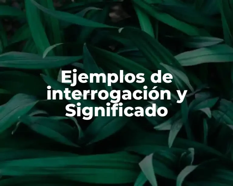 Ejemplos de interrogación y Significado