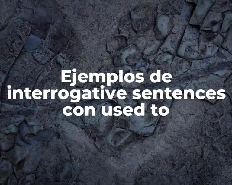 Ejemplos de interrogative sentences con used to