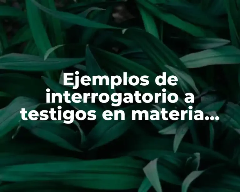 Ejemplos de interrogatorio a testigos en materia laboral