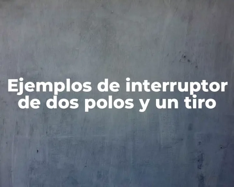 Ejemplos de interruptor de dos polos y un tiro