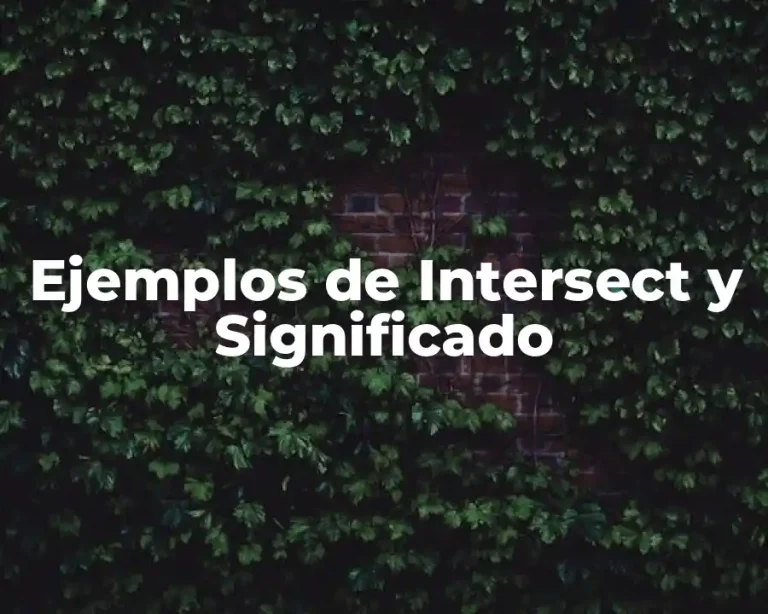 Ejemplos de Intersect y Significado