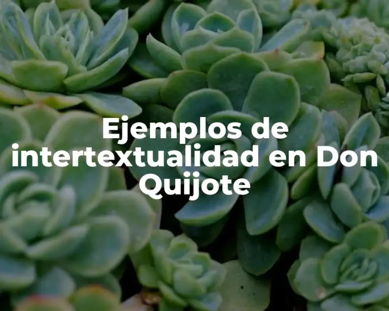 Ejemplos de intertextualidad en Don Quijote