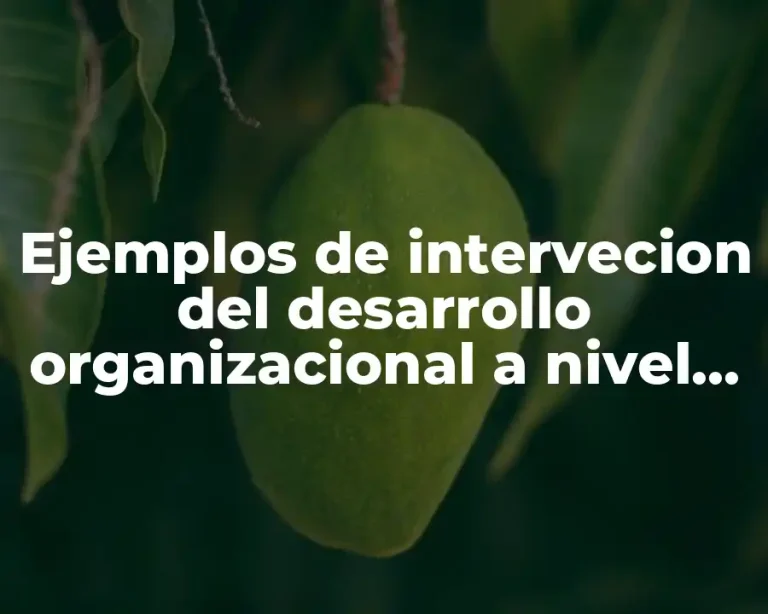 Ejemplos de intervecion del desarrollo organizacional a nivel individual y Significado