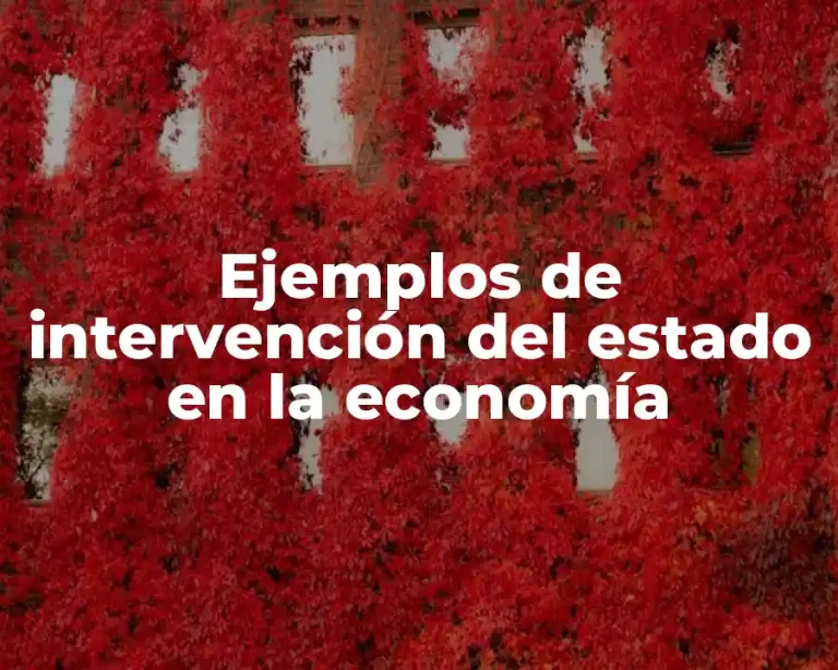 Ejemplos de intervención del estado en la economía