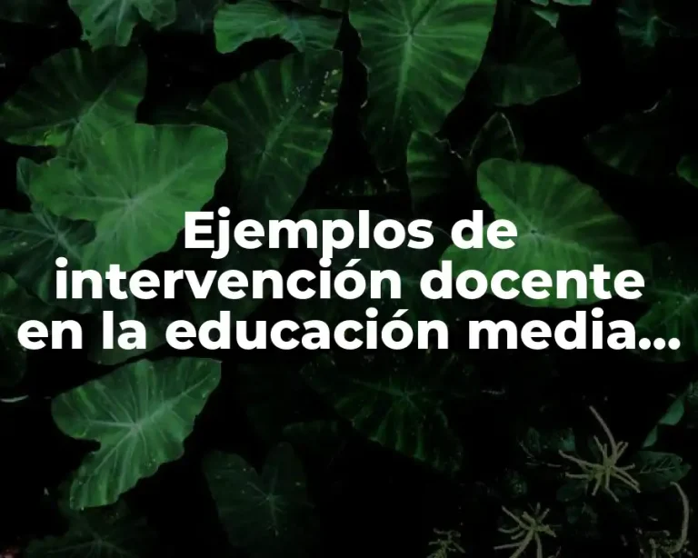 Ejemplos de intervención docente en la educación media superior