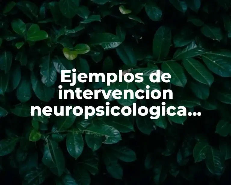 Ejemplos de intervencion neuropsicologica, recuperacion, compensacion