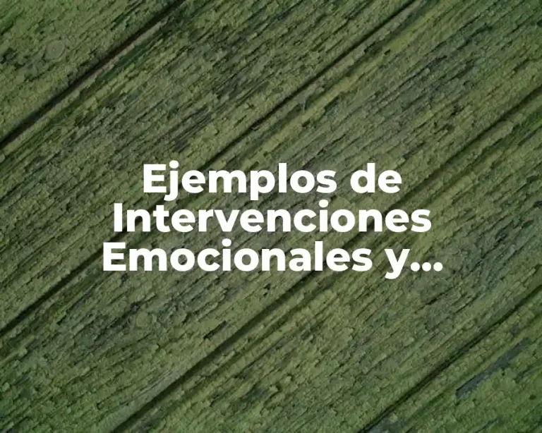 Ejemplos de Intervenciones Emocionales y Psiquicas en el Autismo
