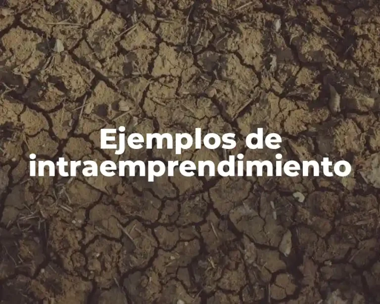 Ejemplos de intraemprendimiento