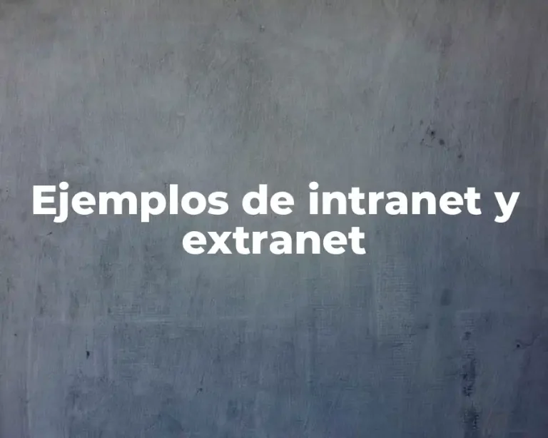 Ejemplos de intranet y extranet
