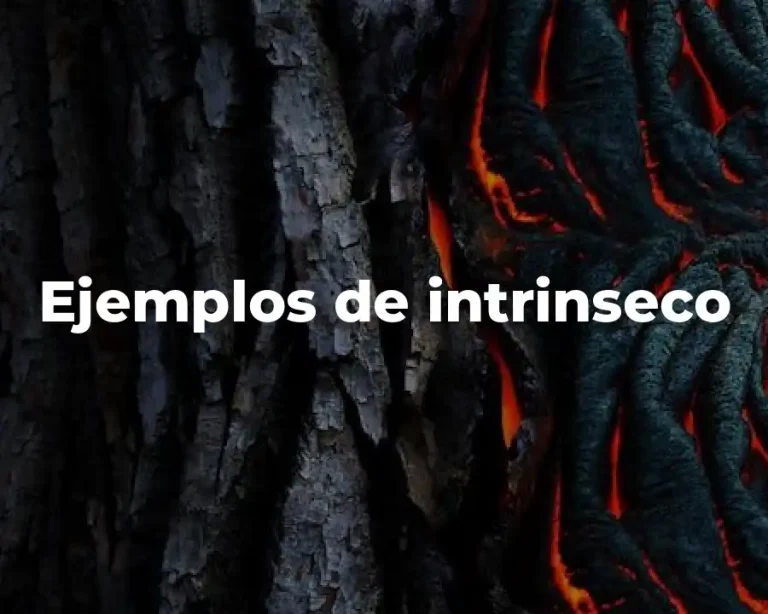 Ejemplos de intrinseco