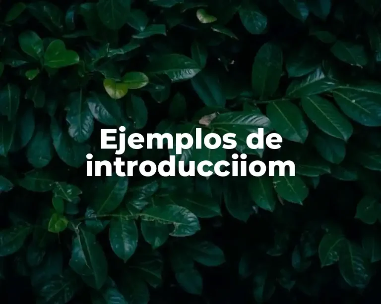 Ejemplos de introducciiom