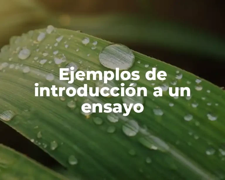 Ejemplos de introducción a un ensayo