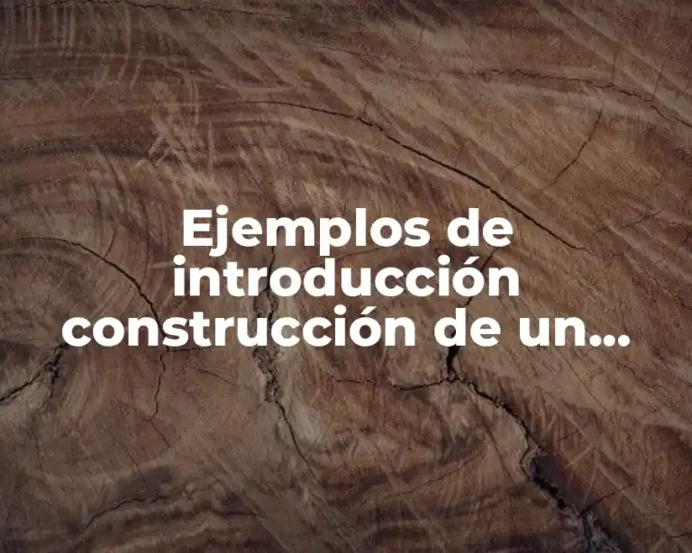 Ejemplos de introducción construcción de un barco de vapor