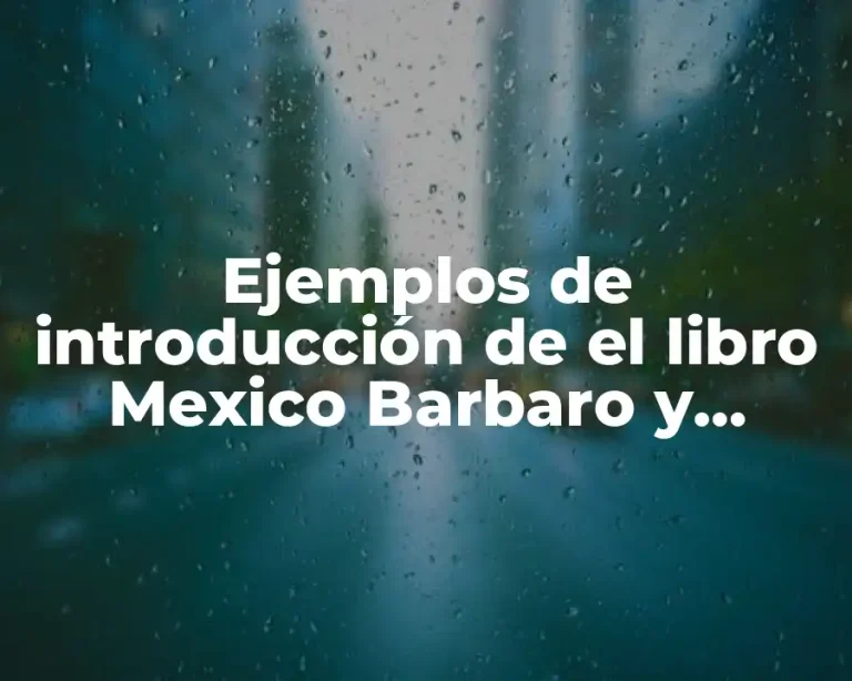 Ejemplos de introducción de el libro Mexico Barbaro y Significado