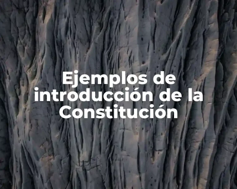 Ejemplos de introducción de la Constitución