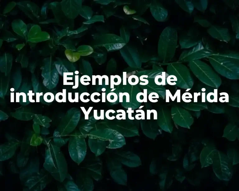 Ejemplos de introducción de Mérida Yucatán