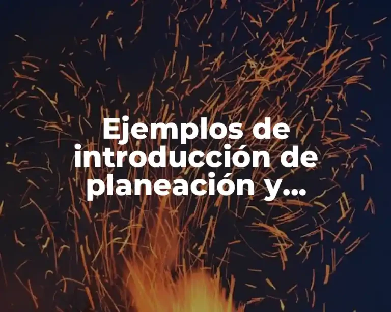Ejemplos de introducción de planeación y organización de una empresa