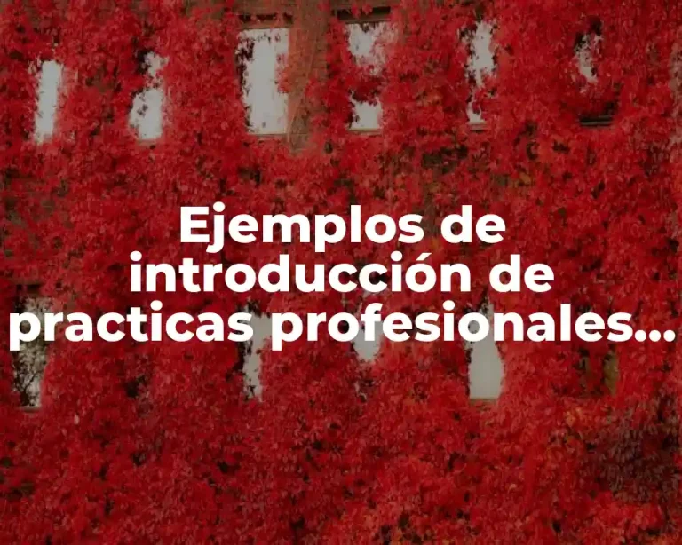 Ejemplos de introducción de practicas profesionales en el imms