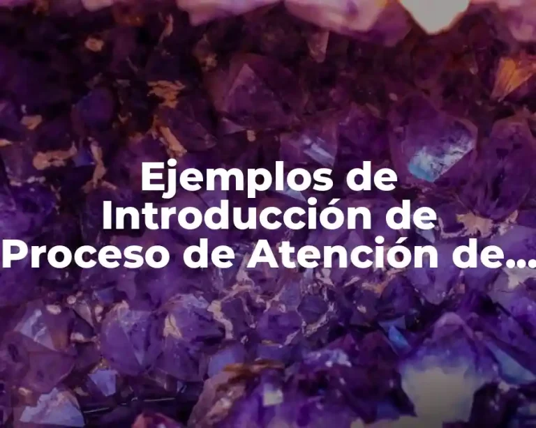 Ejemplos de Introducción de Proceso de Atención de Enfermería y Significado