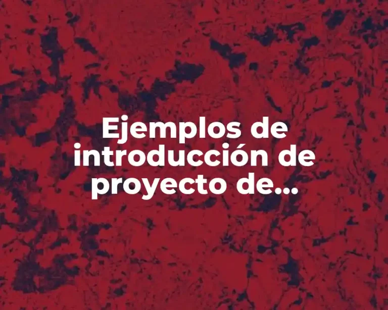 Ejemplos de introducción de proyecto de investigacion