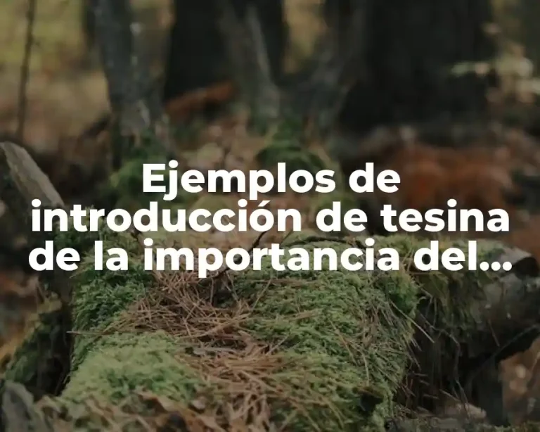 Ejemplos de introducción de tesina de la importancia del deporte