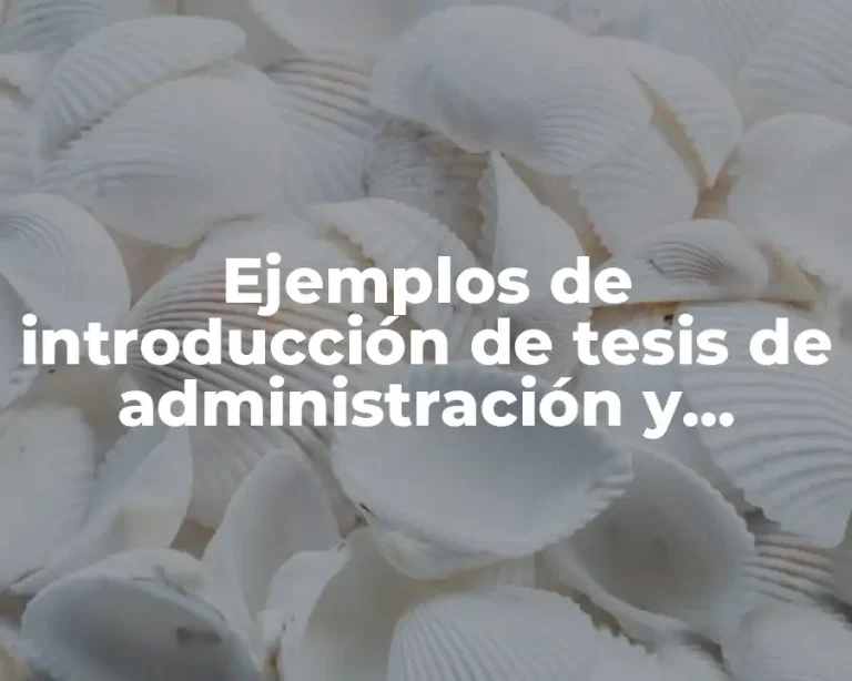 Ejemplos de introducción de tesis de administración y Significado