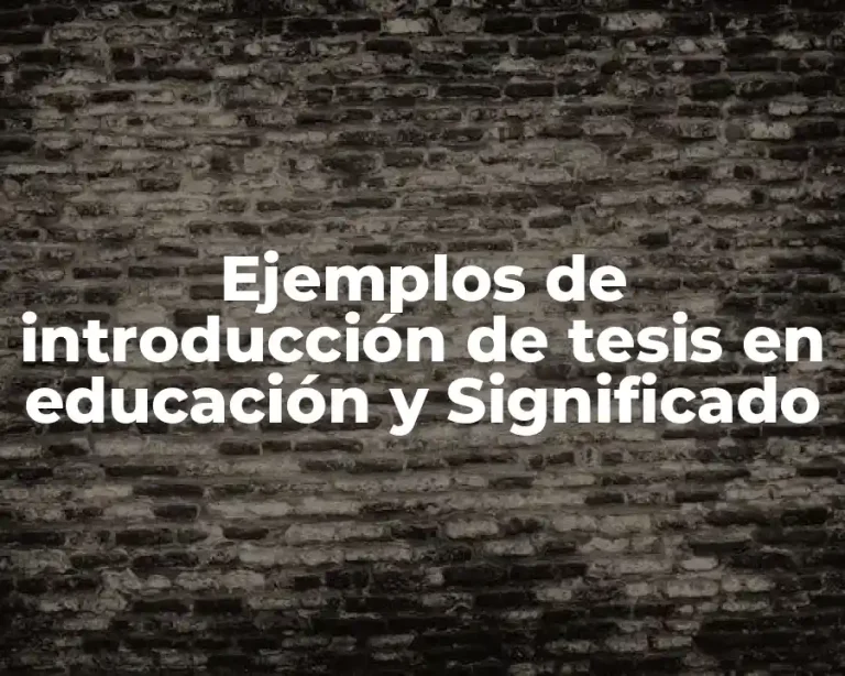 Ejemplos de introducción de tesis en educación y Significado