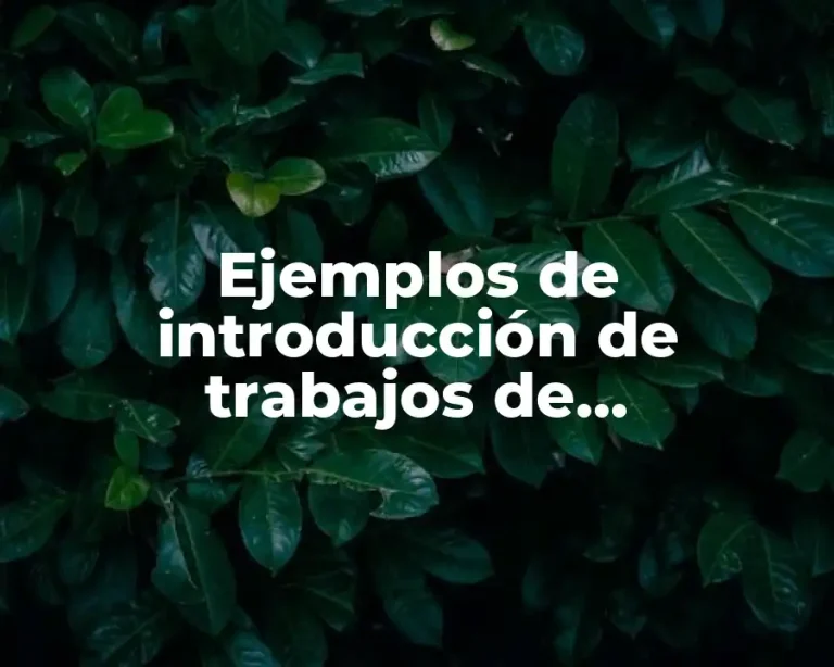 Ejemplos de introducción de trabajos de investigación del suicidio