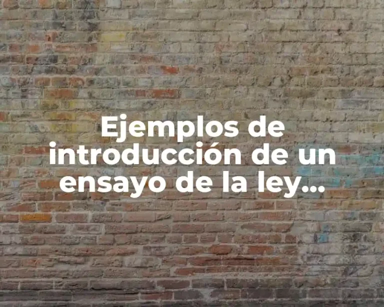 Ejemplos de introducción de un ensayo de la ley aduanera y Significado