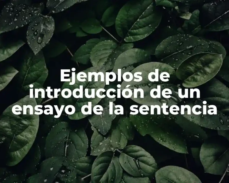 Ejemplos de introducción de un ensayo de la sentencia