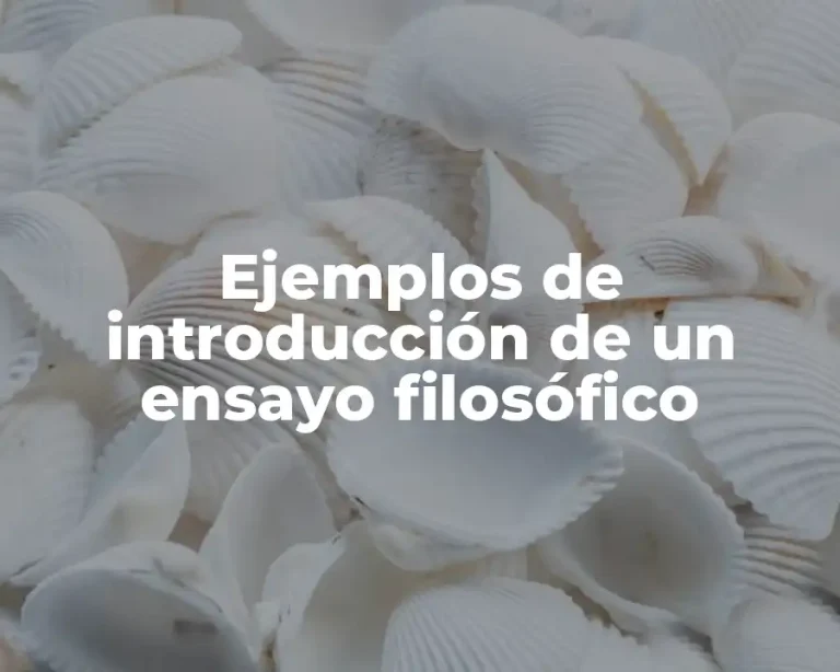 Ejemplos de introducción de un ensayo filosófico