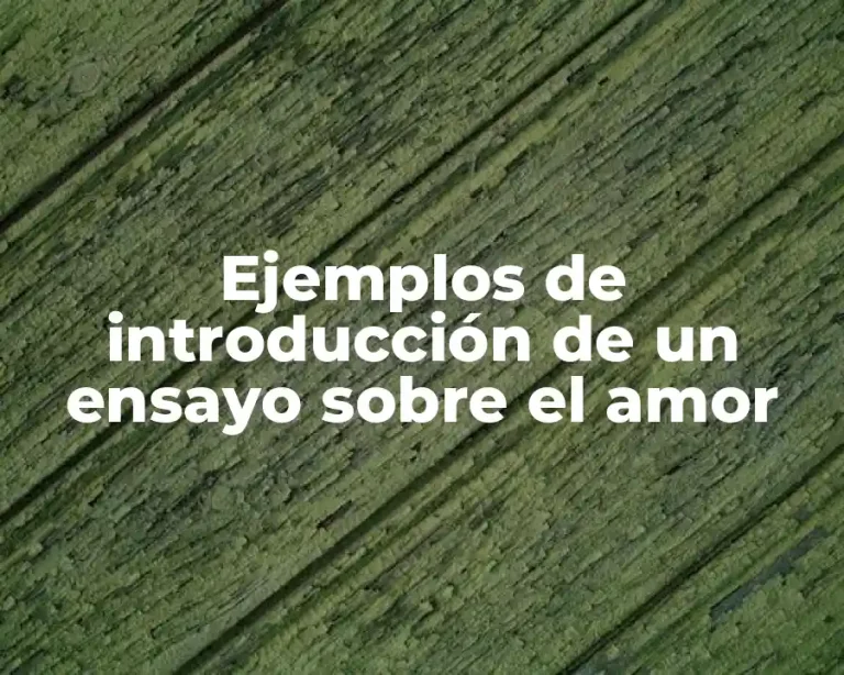 Ejemplos de introducción de un ensayo sobre el amor