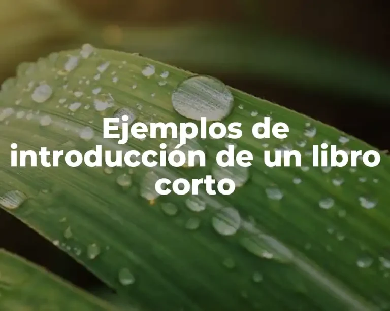 Ejemplos de introducción de un libro corto