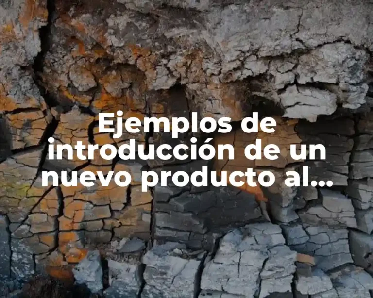 Ejemplos de introducción de un nuevo producto al mercado