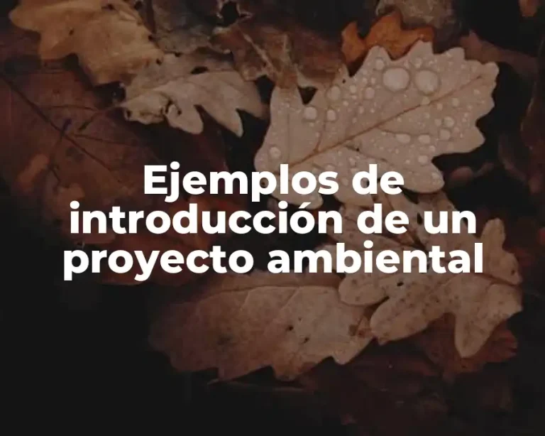 Ejemplos de introducción de un proyecto ambiental