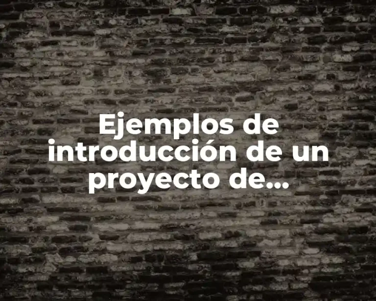 Ejemplos de introducción de un proyecto de asociaciones civiles