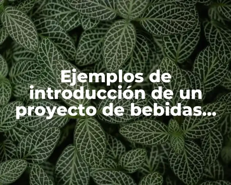 Ejemplos de introducción de un proyecto de bebidas alcoholeñas