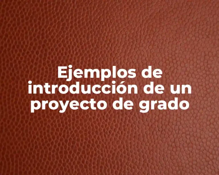 Ejemplos de introducción de un proyecto de grado