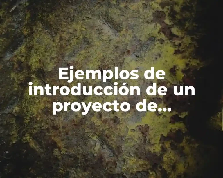 Ejemplos de introducción de un proyecto de investigación APA